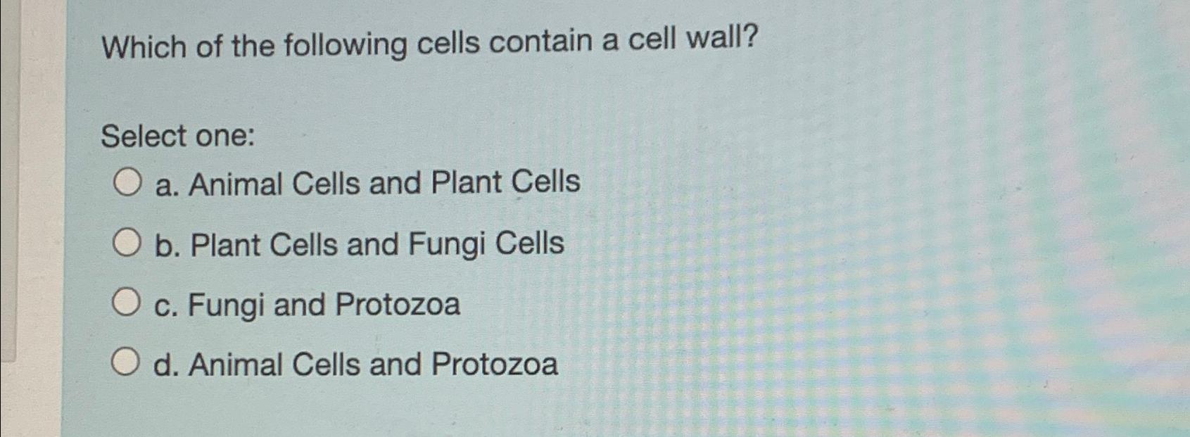 Solved Which of the following cells contain a cell