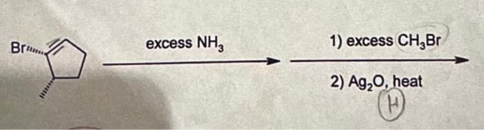 Solved 1) Excess CH3Br 2) Ag2O, Heat | Chegg.com