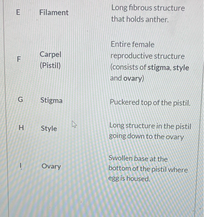 Solved 1. Flower Dissection Lab Use the reference sheet and