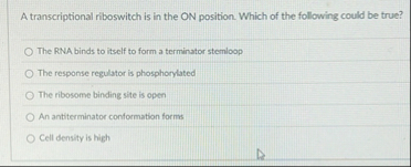 Solved A transcriptional riboswitch is in the ON position. | Chegg.com