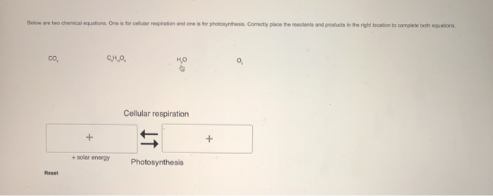 What Is The Chemical Equation For Cellular Respiration Reactants And Products Tessshebaylo