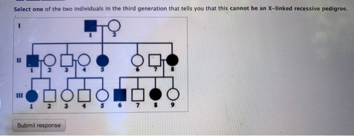 Solved Phases of the Cell Cycle (2 of 4) Scientists can | Chegg.com