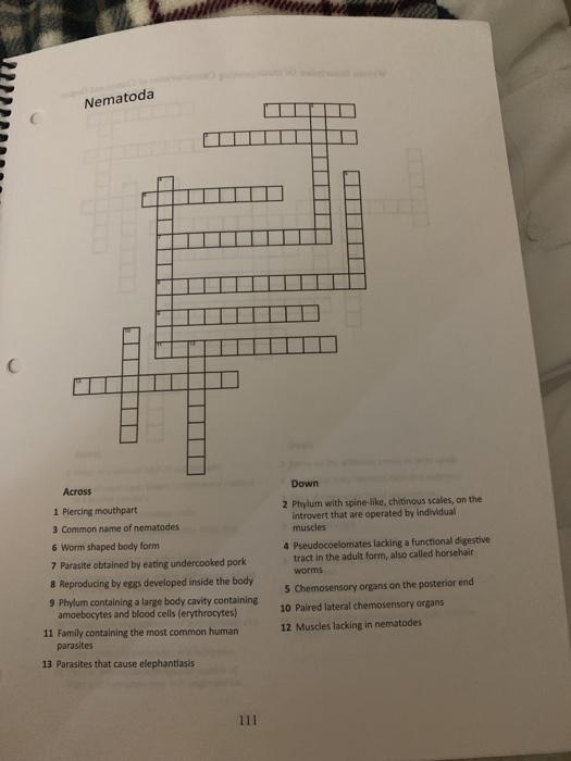 Solved i need some help with this crossword puzzle i have Chegg com