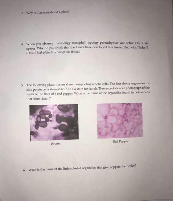 Solved Ive been stuck on these questions for a while. Any | Chegg.com