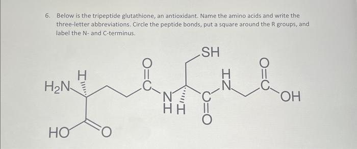 Solved 6. Below is the tripeptide glutathione, an