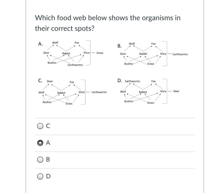 Solved Which food web below shows the organisms in their | Chegg.com