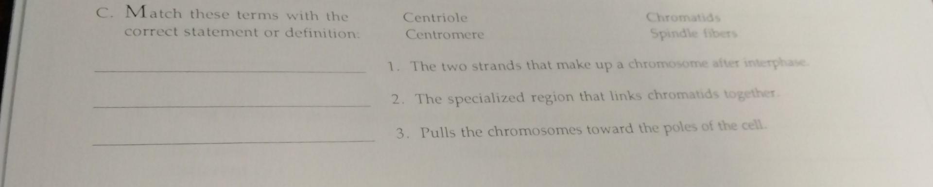 Solved Cell Division and Differentiation Nearly all cell | Chegg.com