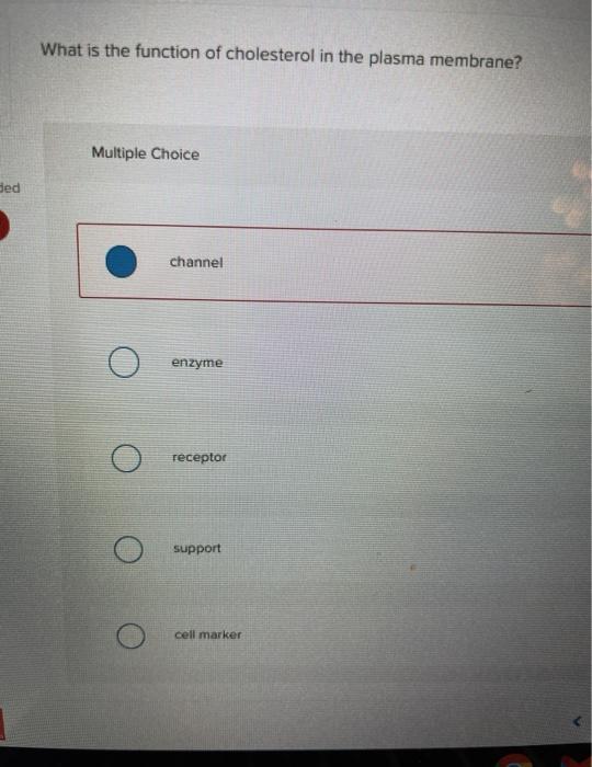 solved-what-is-the-function-of-cholesterol-in-the-plasma-chegg