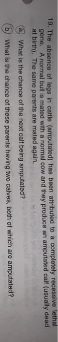 Solved 19. The absence of legs in cattle (amputated) has | Chegg.com