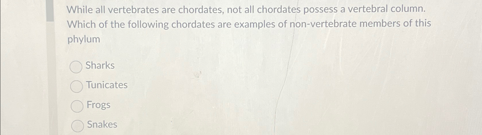 Solved While all vertebrates are chordates, not all | Chegg.com