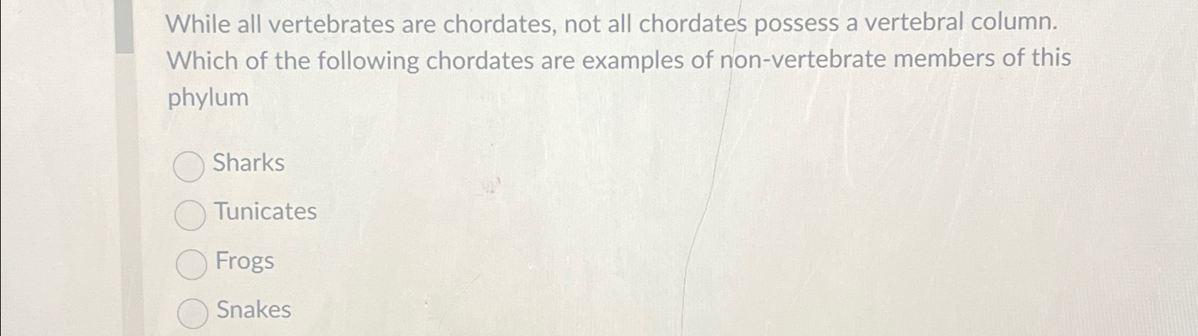 Solved While all vertebrates are chordates, not all | Chegg.com