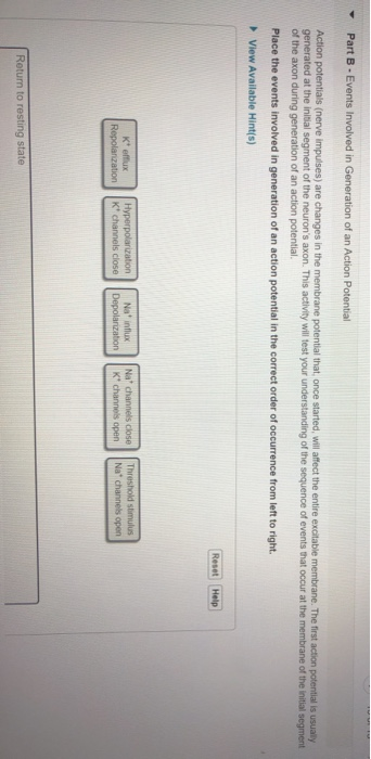 the stimulus for the generation of action potentials is