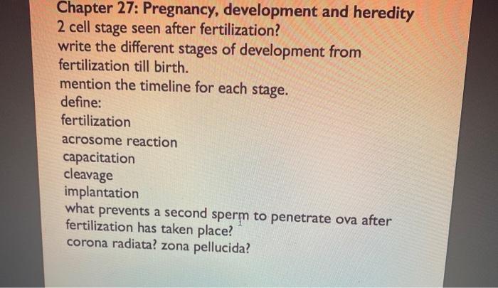 Solved Chapter 26 Reproductive System Somatic Cells And