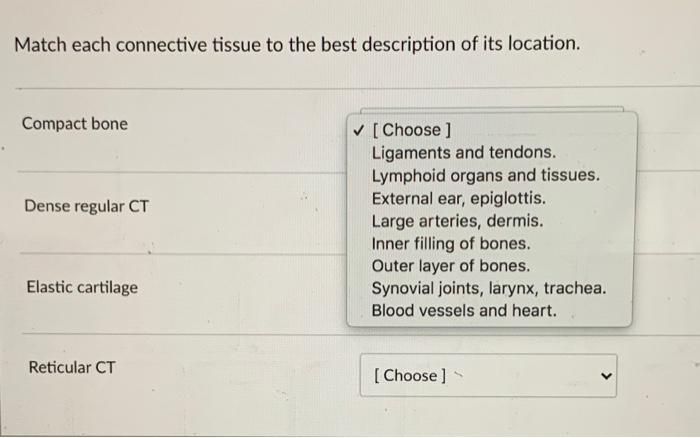 Solved Match each connective tissue to the best description | Chegg.com