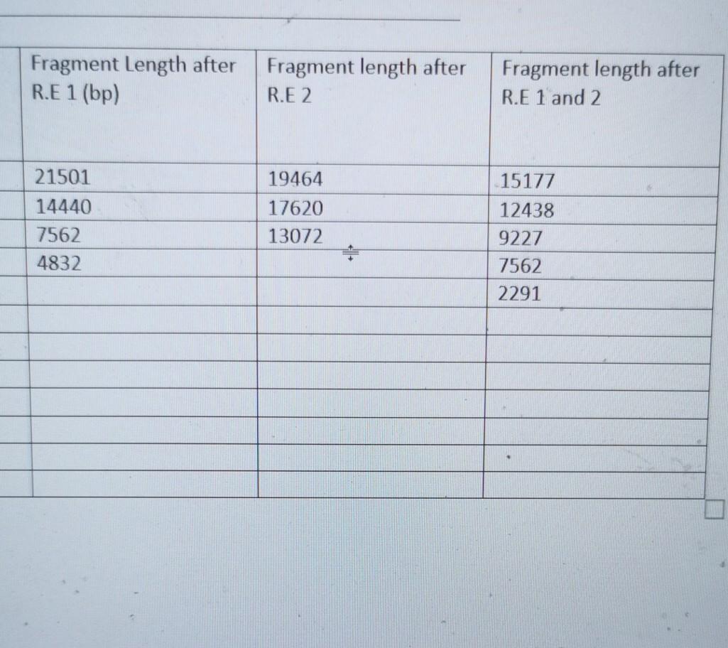 Fragment Length after R.E 1 (bp) Fragment length after R.E 2 Fragment length after R.E 1 and 2 21501 14440 7562 4832 19464 17