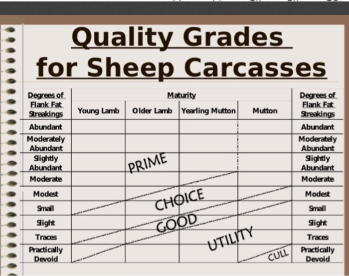 Matching Use the following quality grades for beef