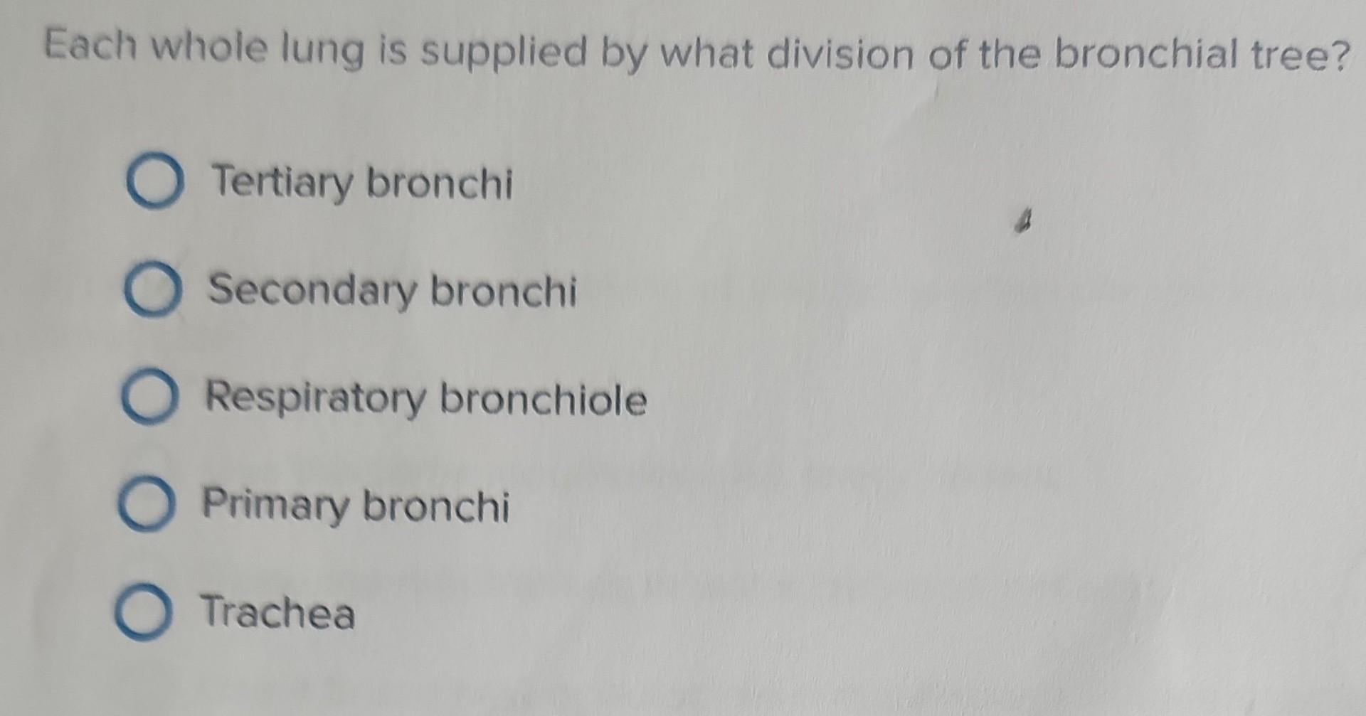 Solved Each whole lung is supplied by what division of the | Chegg.com