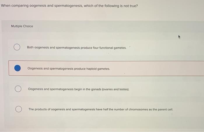 Solved When Comparing Oogenesis And Spermatogenesis, Which | Chegg.com
