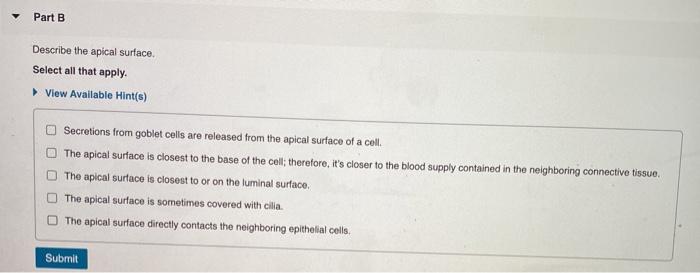 describe-the-apical-surface-select-all-that-apply-francesca-has-may