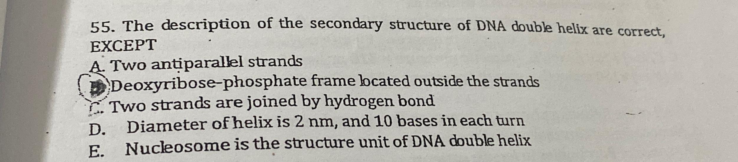 Solved The description of the secondary structure of DNA | Chegg.com