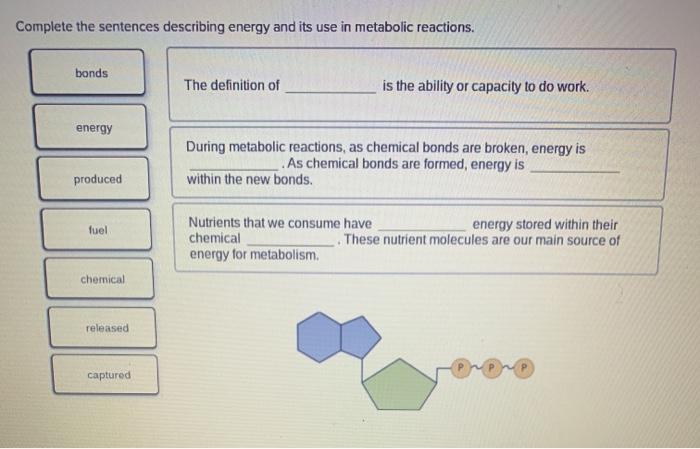 Solved Complete The Sentences Describing Energy And Its Use Chegg