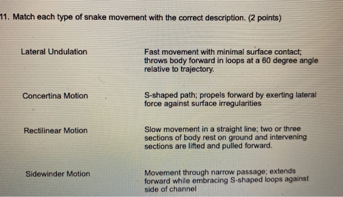Solved 11. Match each type of snake movement with the | Chegg.com