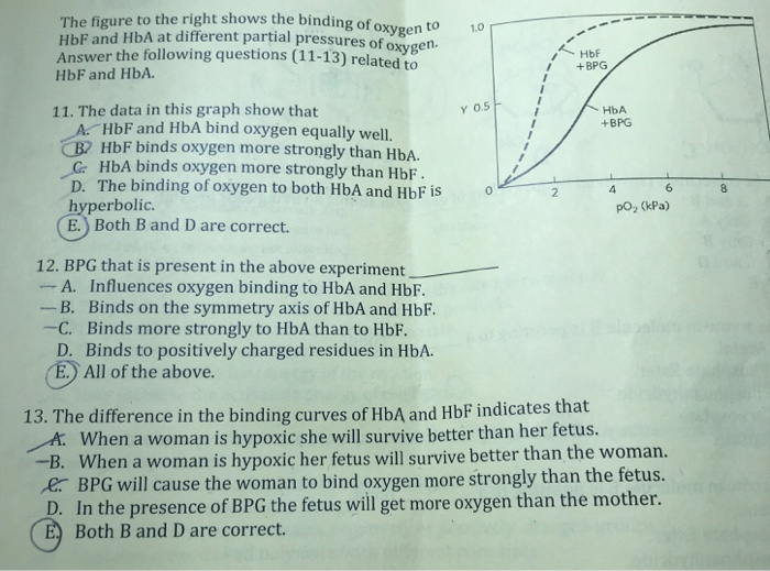 Solved The figure to the right shows the binding of oxygen | Chegg.com
