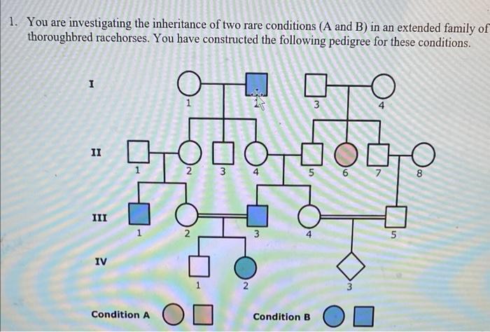 Solved 1. Inheritance I: Horses The following chart gives an