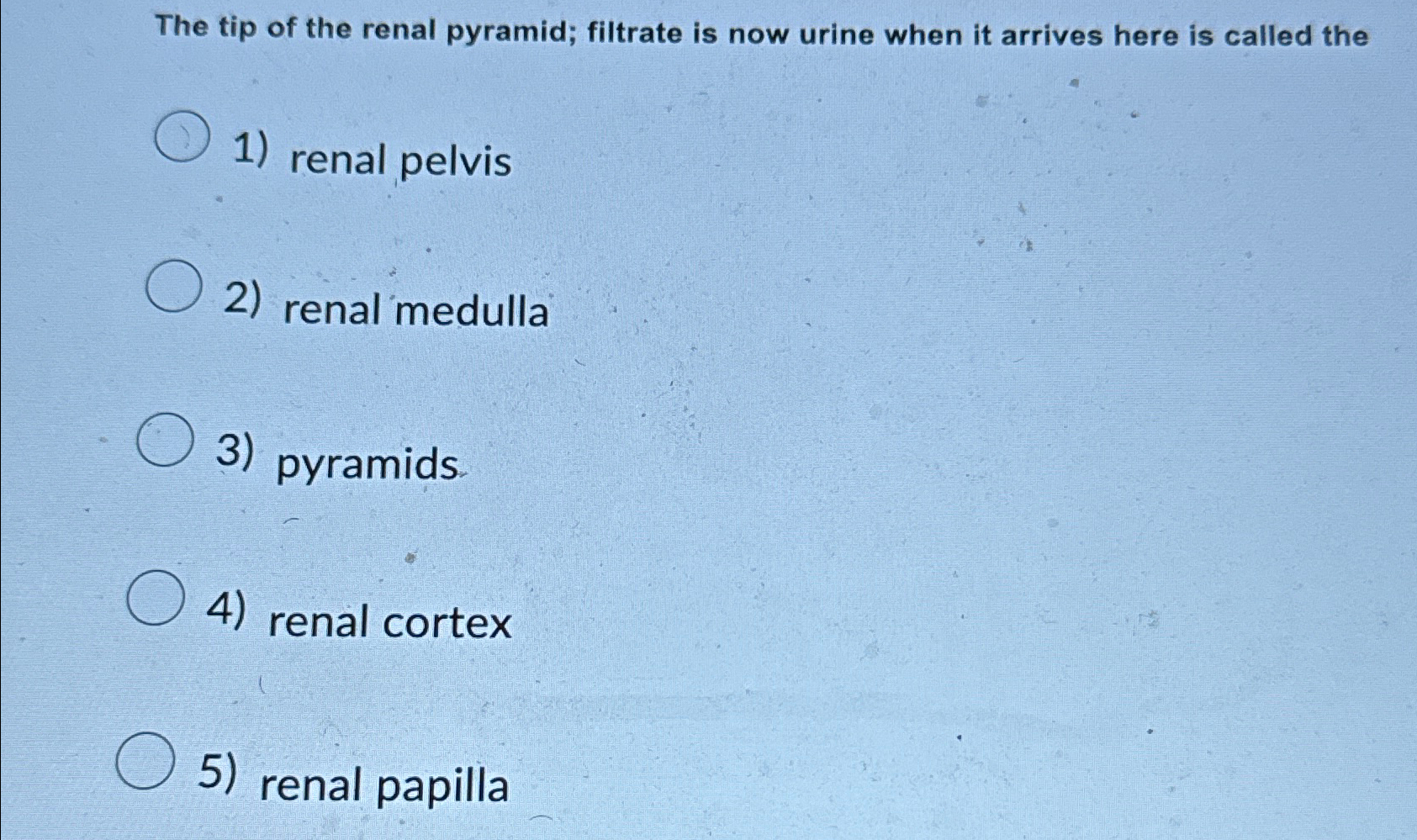 Solved The tip of the renal pyramid; filtrate is now urine | Chegg.com