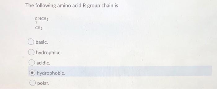 Solved The following amino acid R group chain is - CHCH3 CH3 | Chegg.com