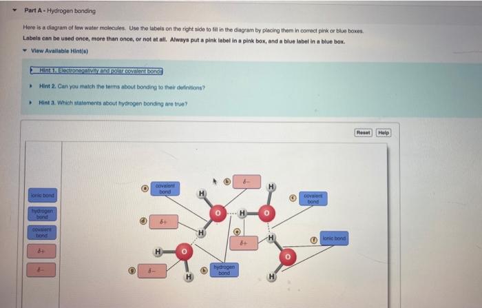 Hydrogen Bonding