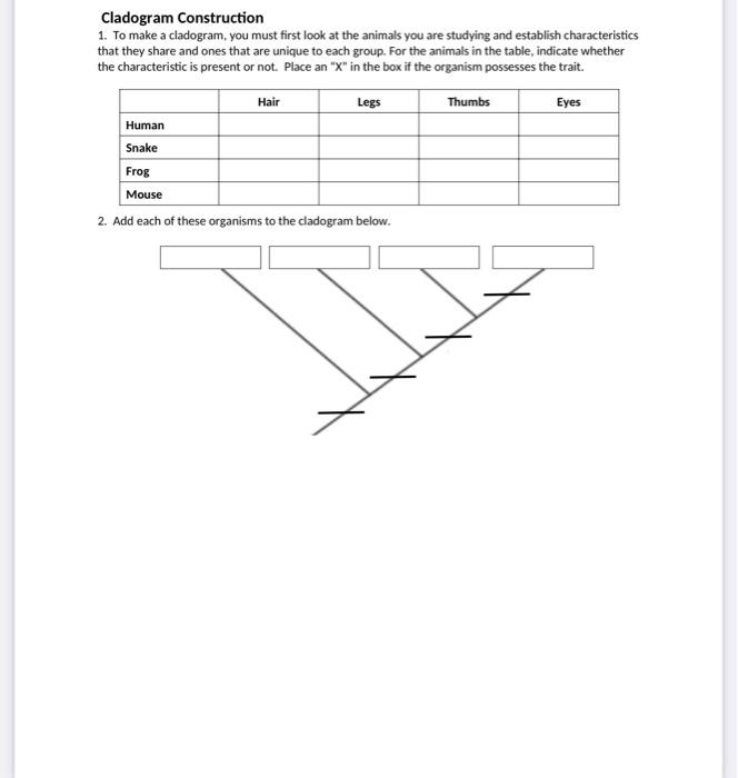 solved-cladogram-construction-1-to-make-a-cladogram-you-chegg
