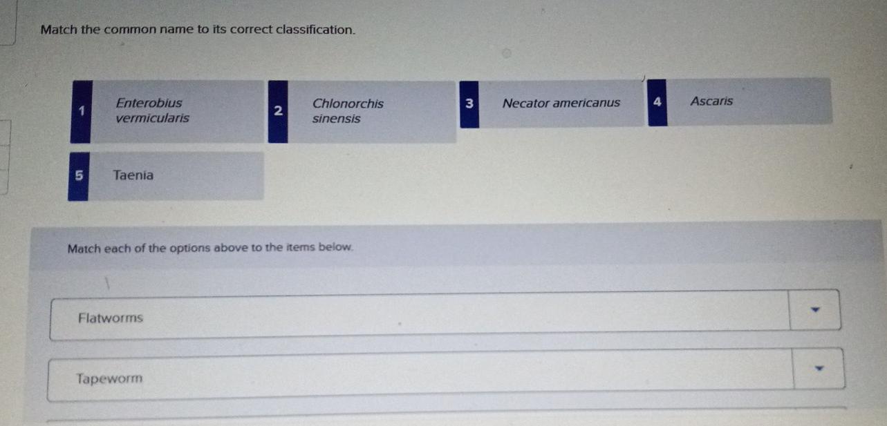 Solved Match the common name to its correct classification. | Chegg.com