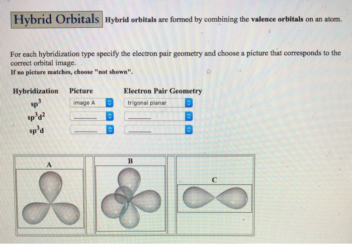 Solved Hybrid Orbitals Hybrid orbitals are formed by | Chegg.com