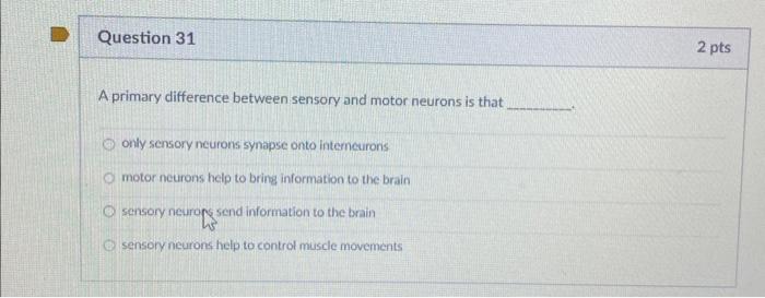 A primary difference between sensory and motor | Chegg.com