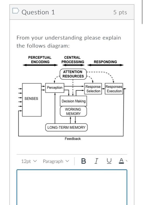 Solved Question 1 5 pts From your understanding please | Chegg.com