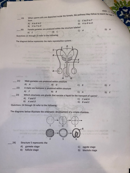Solved Questions 13 through 17 refer to the following: 6583 | Chegg.com