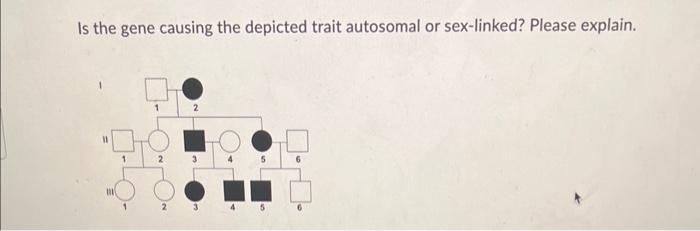 Is the gene causing the depicted trait autosomal or | Chegg.com
