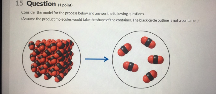 Solved 15 Question (1 point) Consider the model for the | Chegg.com