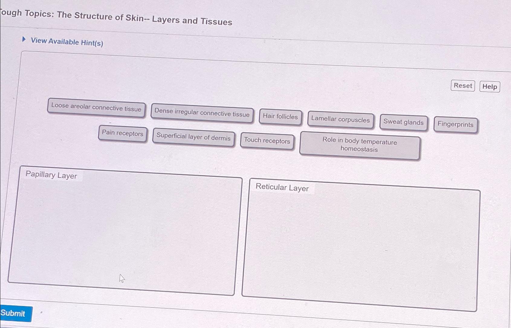 Solved ough Topics: The Structure of Skin-- ﻿Layers and | Chegg.com