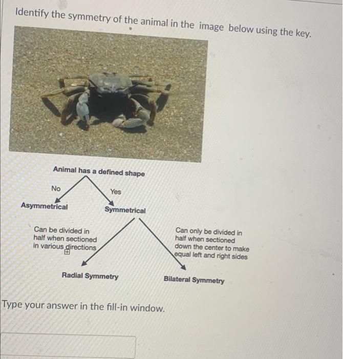 Solved Identify the symmetry of the animal in the image | Chegg.com