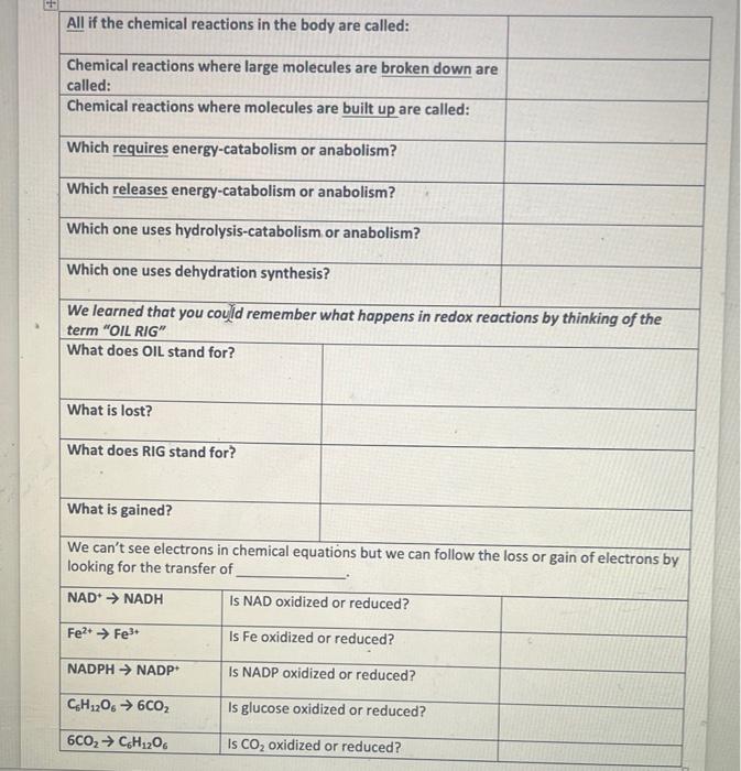 [Solved] All if the chemical reactions in the body are cal