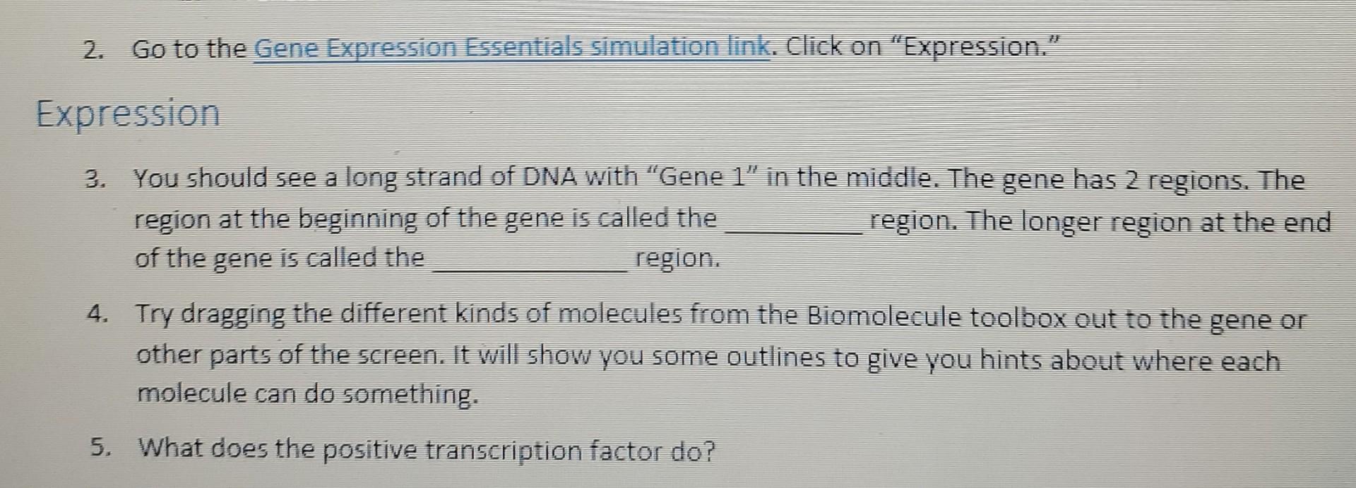 Solved 2. Go to the Gene Expression Essentials simulation