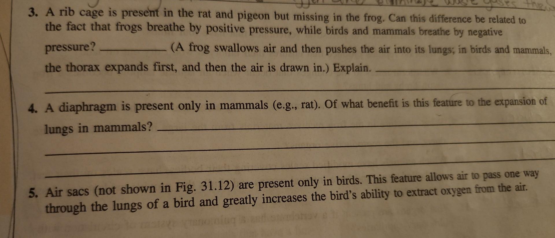 Solved 3. A rib cage is present in the rat and pigeon but