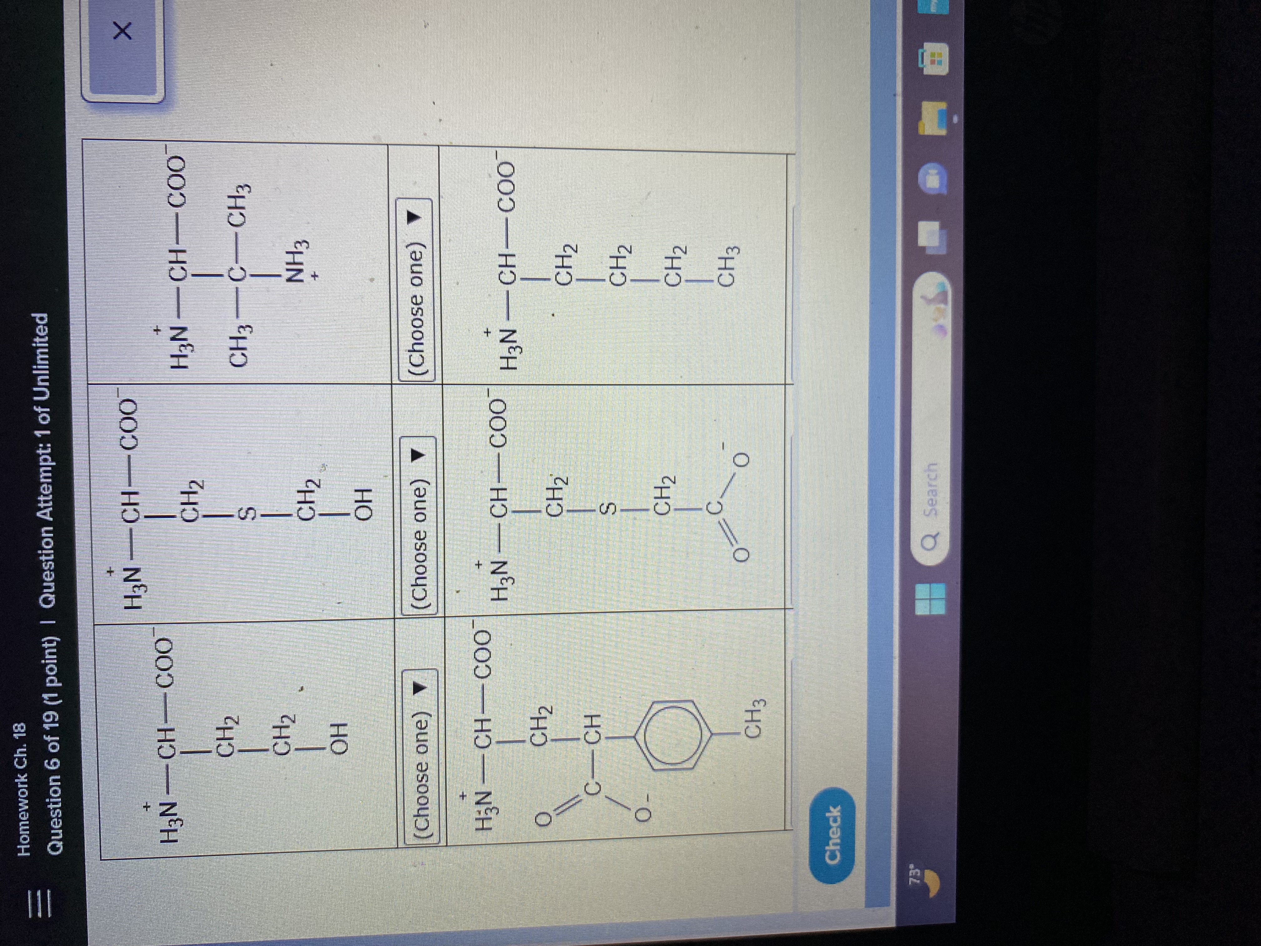 Classify each of the amino acids | Chegg.com