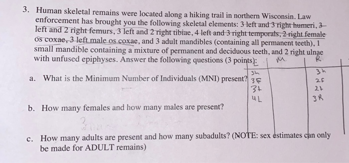 Solved R 3. Human Skeletal Remains Were Located Along A | Chegg.com