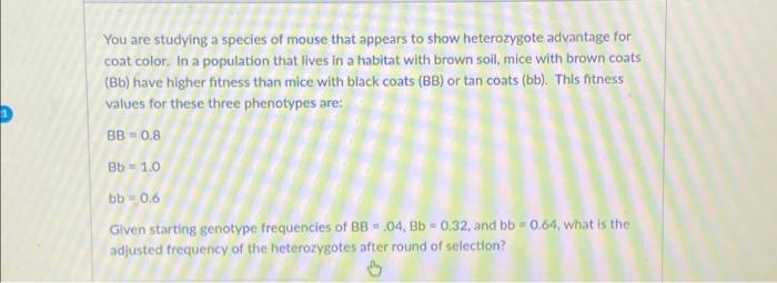 Solved You are studying a species of mouse that appears to | Chegg.com