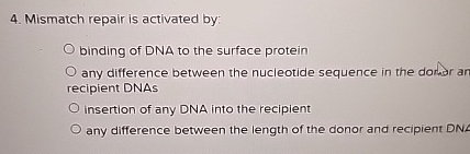 Solved Mismatch repair is activated by:binding of DNA to the | Chegg.com