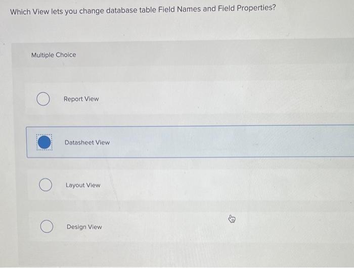 Which View lets you change database table Field Names and Field Properties?
Muitiple Choice
Report View
Datasheet View
Layout