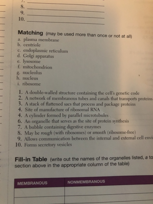 Solved Anatomy and Physiology Lab Manual 13 14 FIGURE 4-5, | Chegg.com